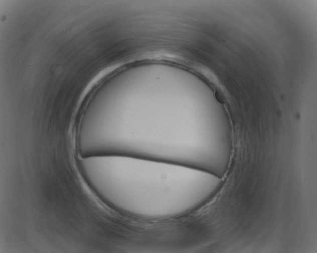 X0000086221032200704051235