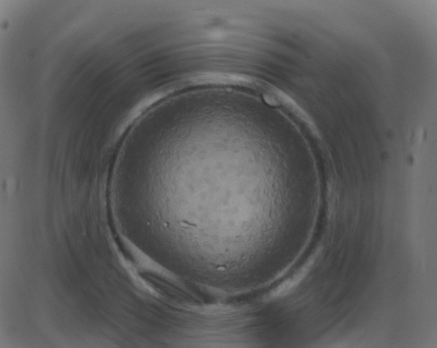 X0000086221033200704051235