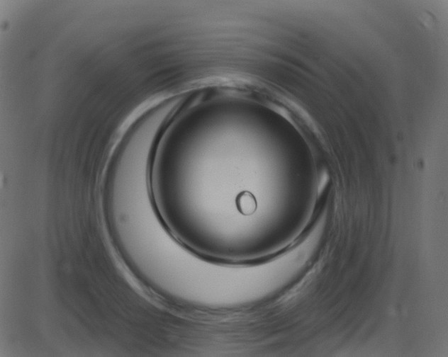 X0000086221034200704051235