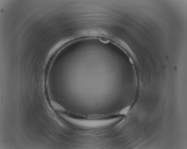 X0000086221035200704051235