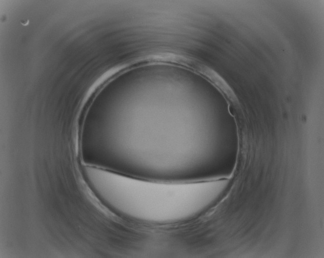 X0000086221036200704051235