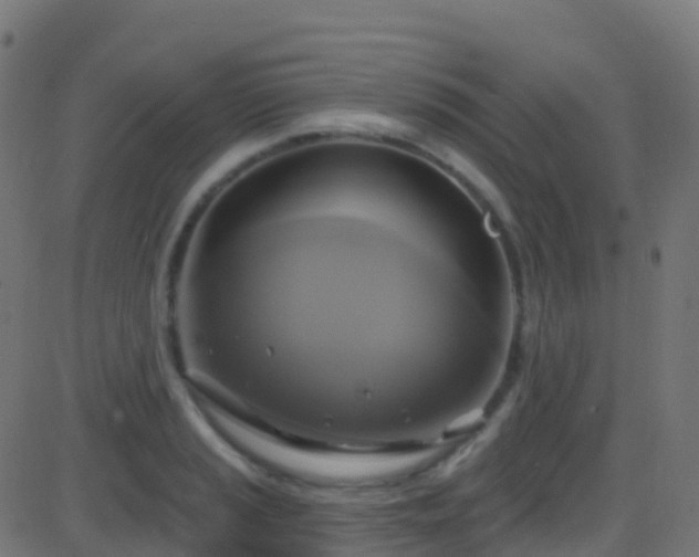 X0000086221037200704051235