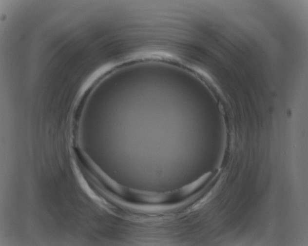 X0000086221038200704051235