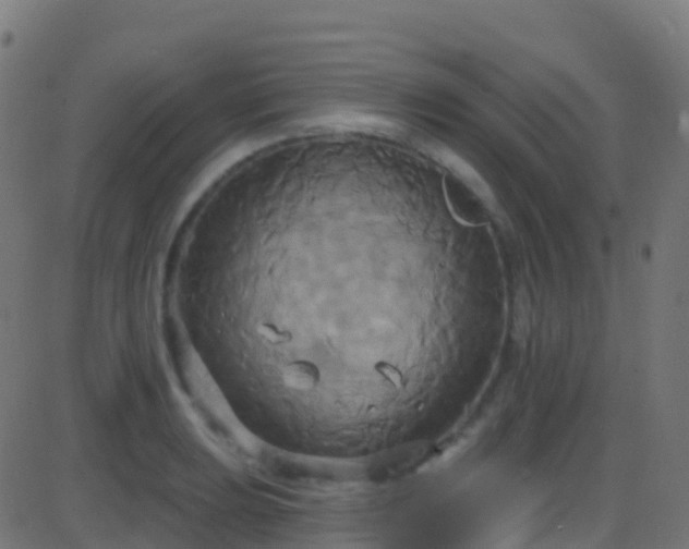 X0000086221039200704051235