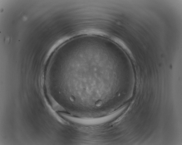 X0000086221040200704051235