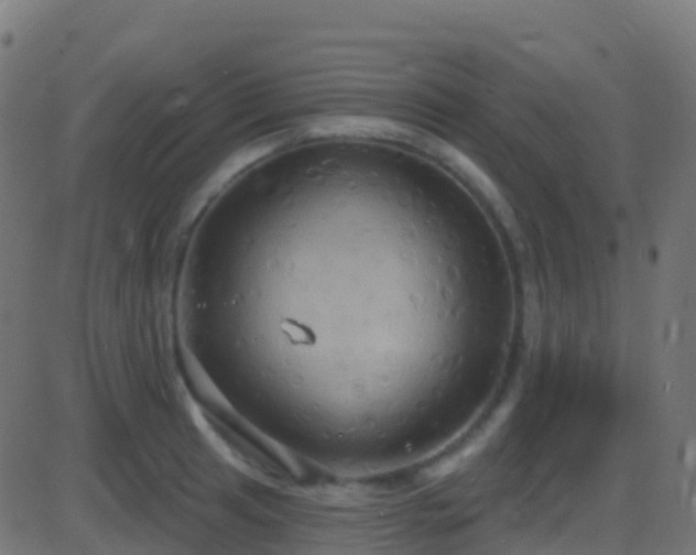 X0000086221041200704051235