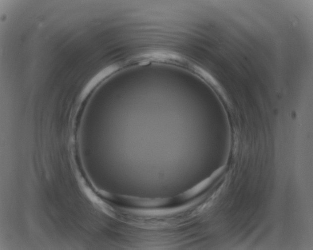 X0000086221042200704051235