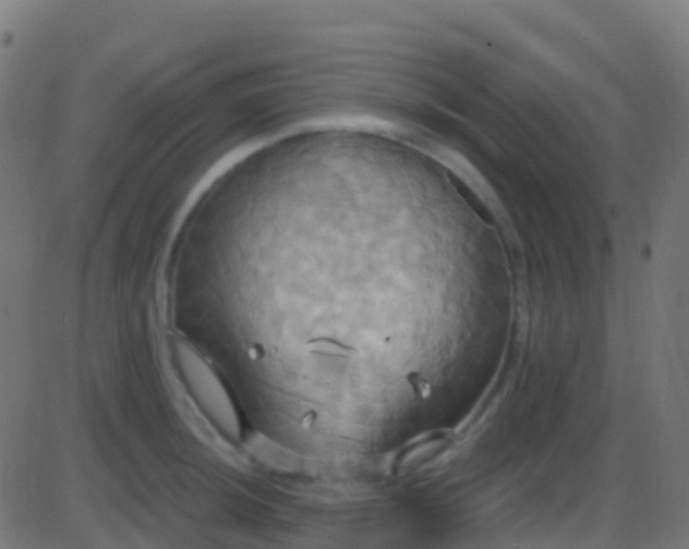 X0000086221044200704051235