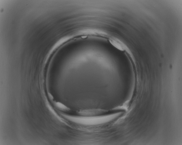 X0000086221045200704051235