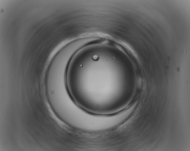 X0000086221046200704051235