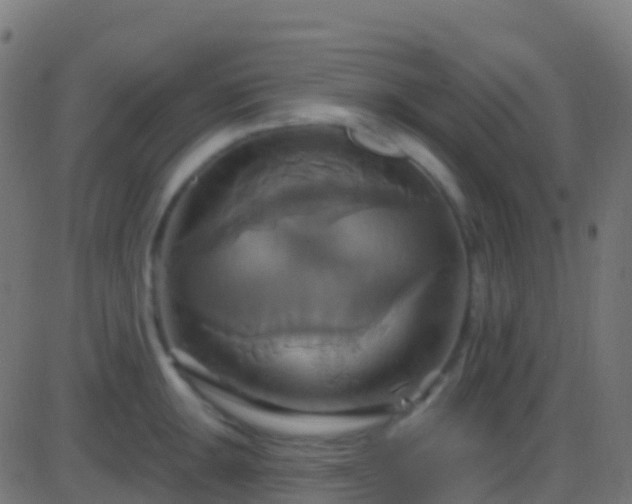 X0000086221047200704051235