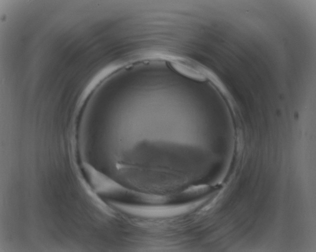 X0000086221048200704051235