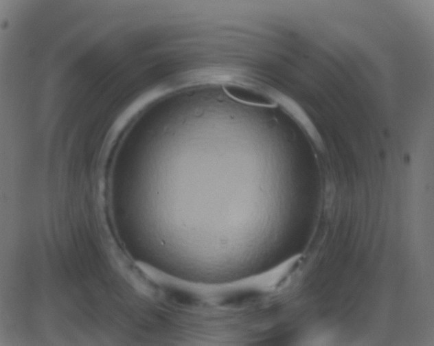 X0000086221051200704051235