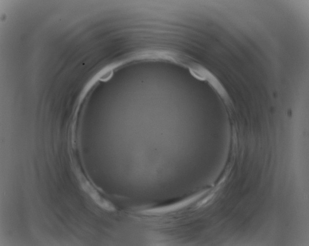 X0000086221052200704051235