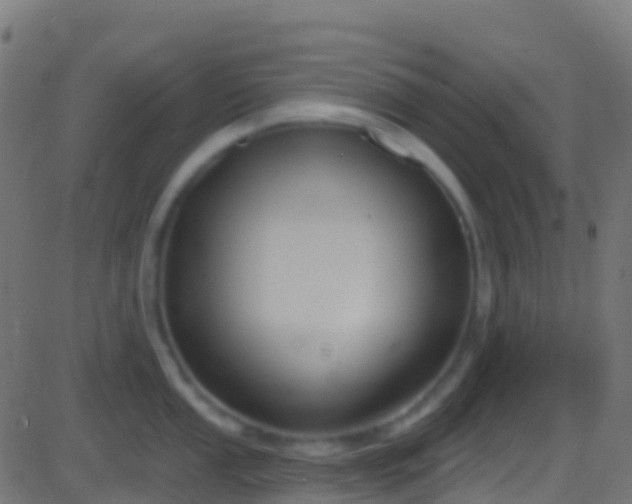 X0000086221053200704051235