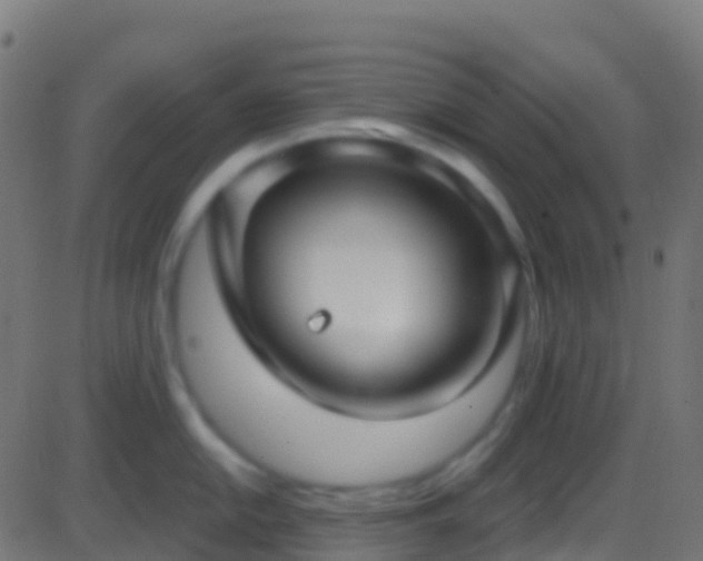 X0000086221054200704051235