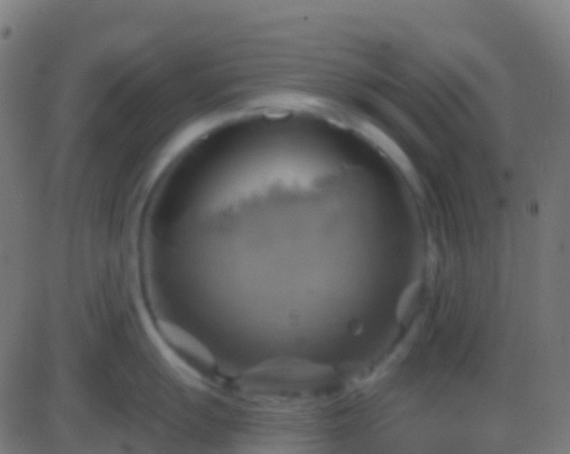 X0000086221055200704051235