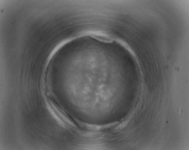 X0000086221056200704051235