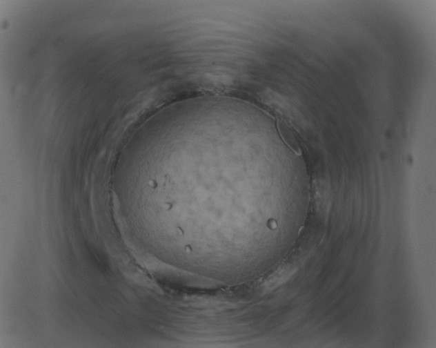 X0000086221057200704051234