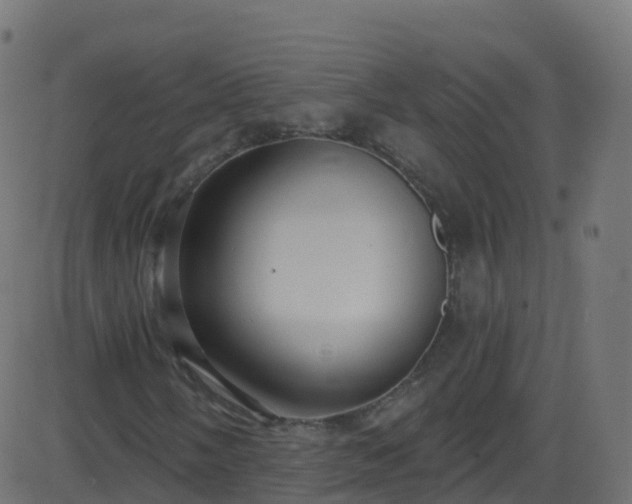 X0000086221058200704051234