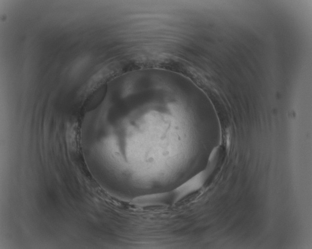 X0000086221059200704051234