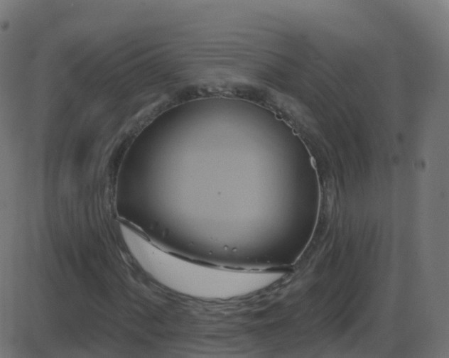 X0000086221060200704051234