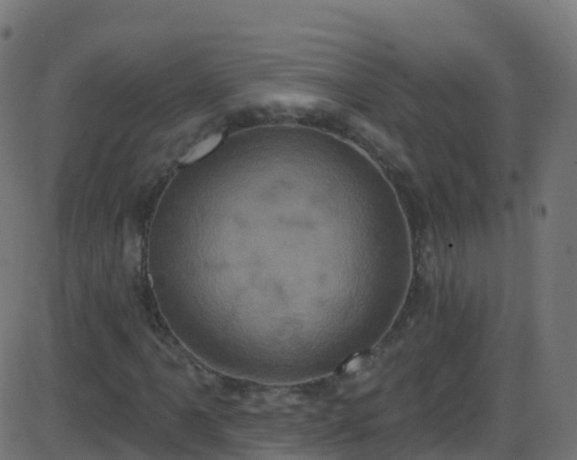 X0000086221061200704051234