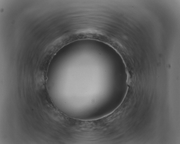 X0000086221062200704051234