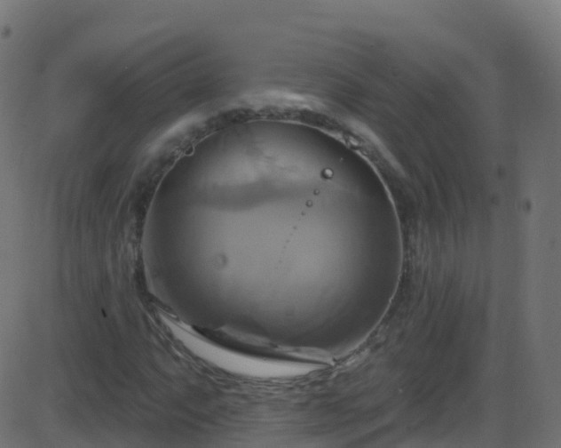 X0000086221063200704051234