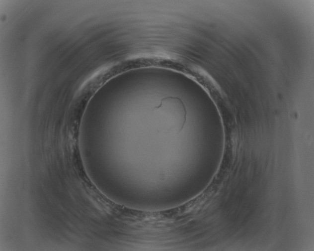 X0000086221064200704051234