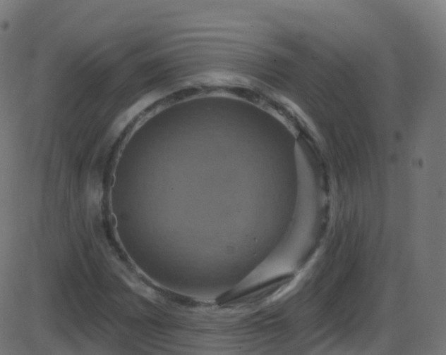 X0000086221065200704051234