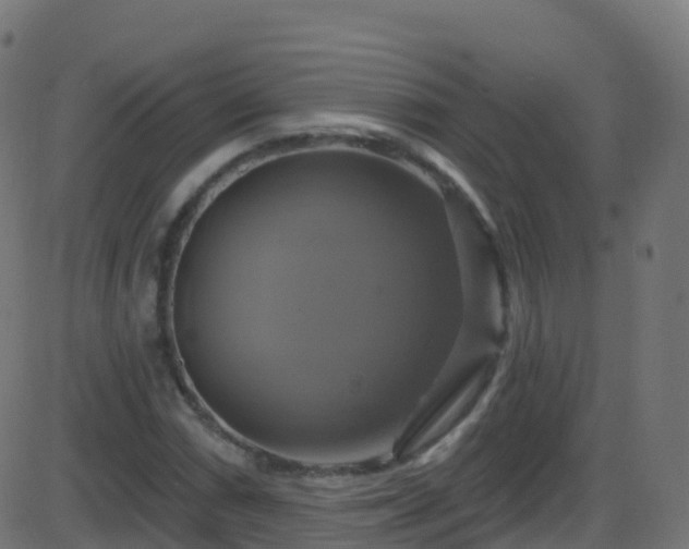 X0000086221066200704051234