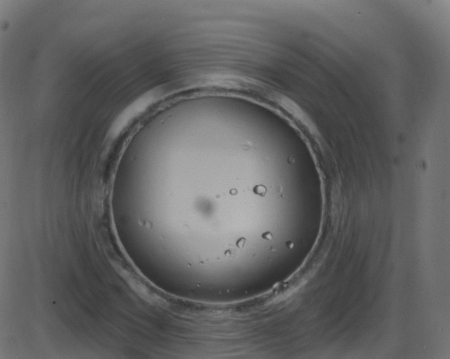 X0000086221067200704051234