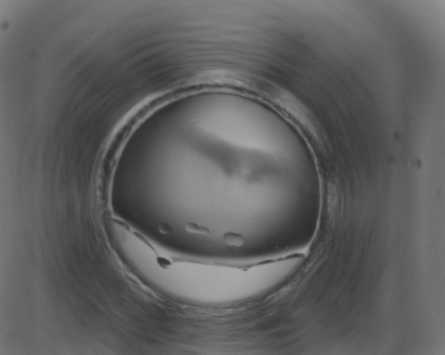 X0000086221068200704051234