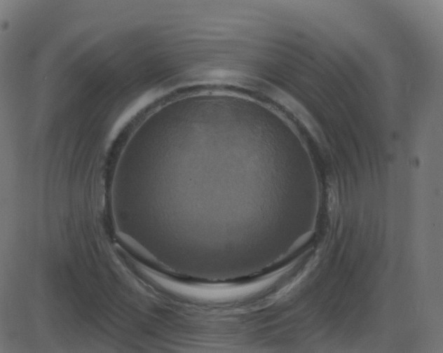 X0000086221069200704051234