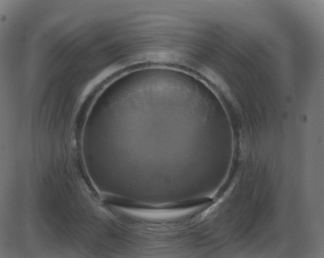 X0000086221070200704051234