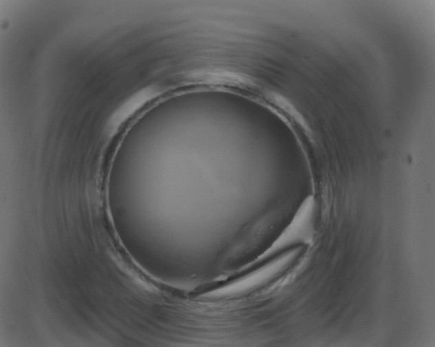 X0000086221071200704051234