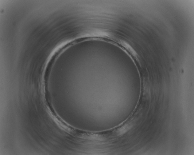 X0000086221072200704051234