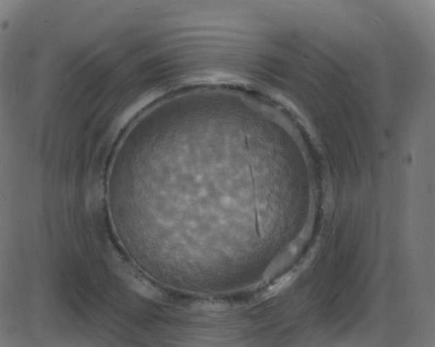 X0000086221073200704051234