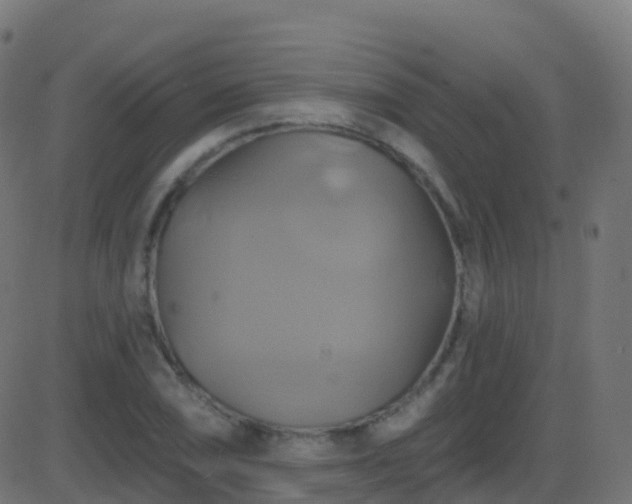 X0000086221074200704051234