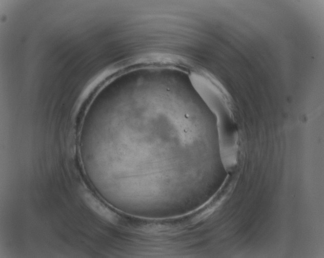 X0000086221075200704051234