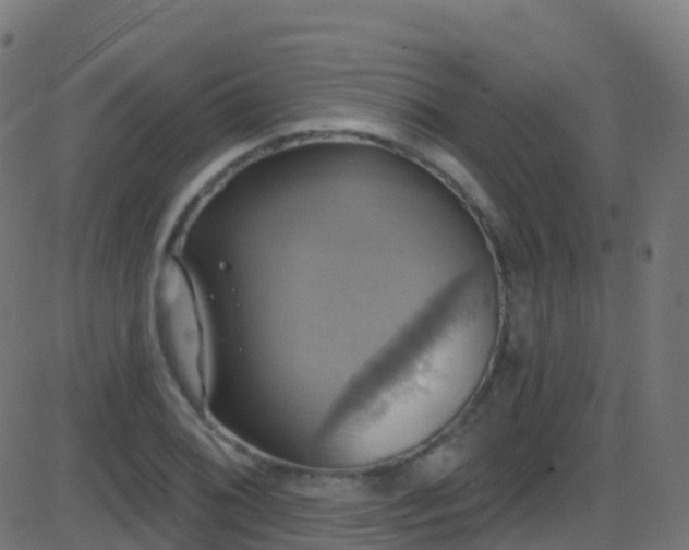 X0000086221076200704051234