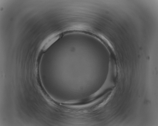 X0000086221077200704051234