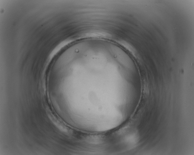 X0000086221078200704051234