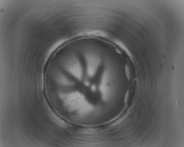 X0000086221079200704051234