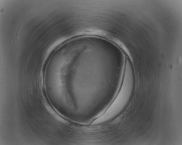 X0000086221080200704051234