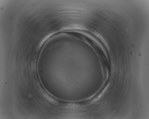 X0000086221081200704051234