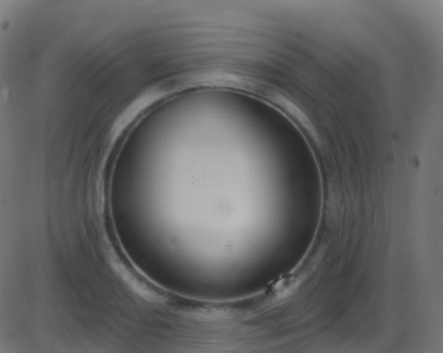 X0000086221082200704051234