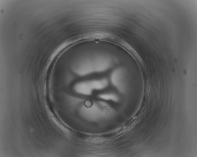 X0000086221083200704051234