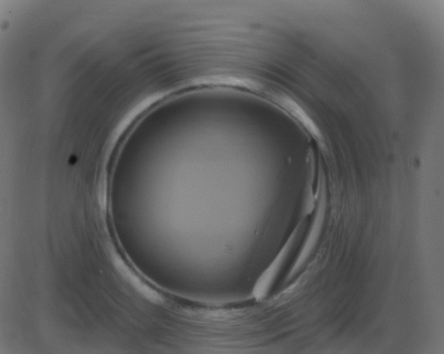 X0000086221084200704051234